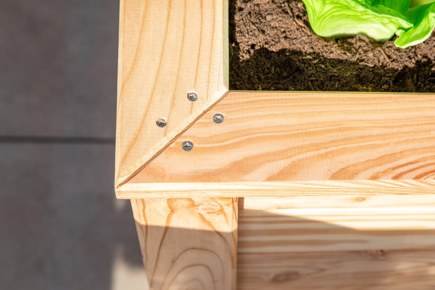 Hochbeet Lärche, 100 – Bild 2