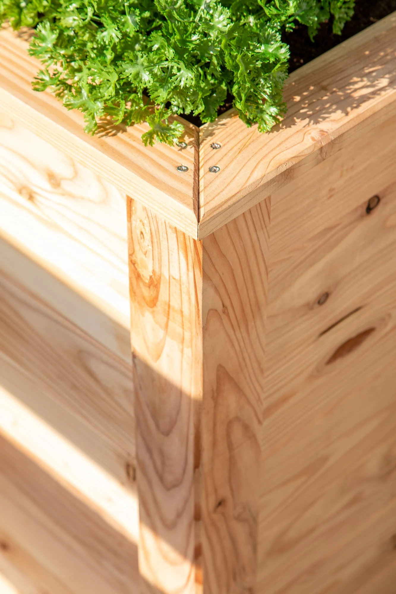 Hochbeet Lärche, 100