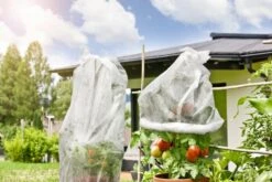 Windhager Öko Tomaten-Vliesschlauch