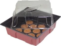 Windhager Zimmertreibhaus Inkl. 12 Quelltabs